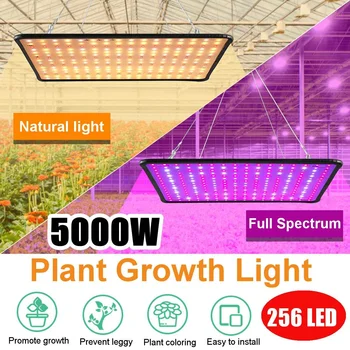 256 светодиодов Grow Light Светодиодная Лампа Полного спектра 5000 Вт Светодиодная Лампа для растений Теплицы Внутренняя Фито Лампа Для Выращивания Палатки US EU AU Plug